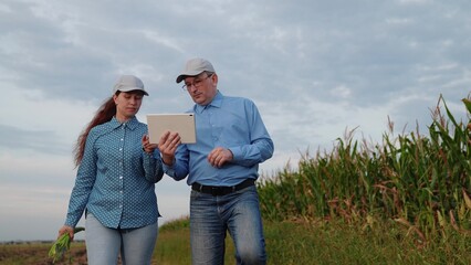 agriculture, farmers handshake field, business corn farm, farmer working tablet with partner, business handshake, corncob, grain, agricultural field, sunlight, quality, owner, peasant, produce, arms