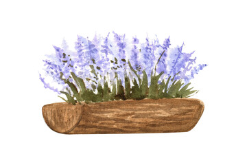 A pot of lavender watercolor illustration. To create a sticker or logo.