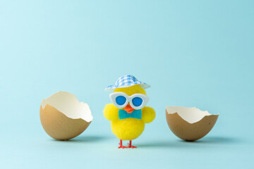 Chicken with cracked Easter eggs on pastel blue background. Easter minimal concept. Creative Happy Easter or spring layout.