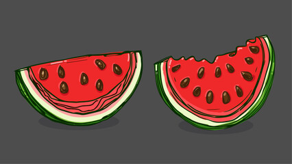 Set of Watermelon fruit, Vector illustration in one line sketch style, flat hand drawn sketch, Colorful fruit with shadow and light, isolated on colored background.