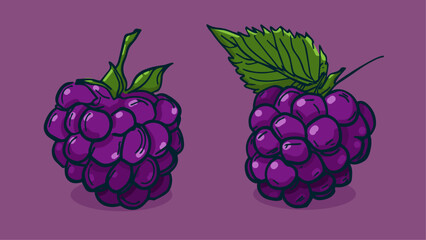 Set of Blackberry fruit, Vector illustration in one line sketch style, flat hand drawn sketch, Colorful fruit with shadow and light, isolated on colored background.