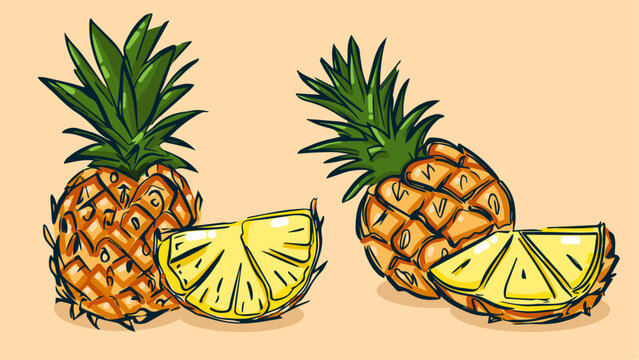 Set of Pineapple fruit, Vector illustration in one line sketch style, flat hand drawn sketch, Colorful fruit with shadow and light, isolated on colored background.