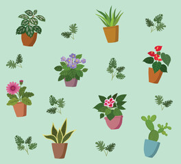 Seamless pattern with Houseplants. Vector design. For fashion print, wallpaper, packaging and other design.
