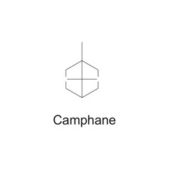 Camphane skeletal structure diagram.Monoterpene ketone compound molecule scientific illustration on white background.