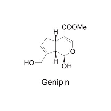 Genipin skeletal structure diagram.Monoterpenoid compound molecule scientific illustration on white background.