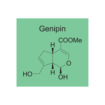 Genipin skeletal structure diagram.Monoterpenoid compound molecule scientific illustration on green background.