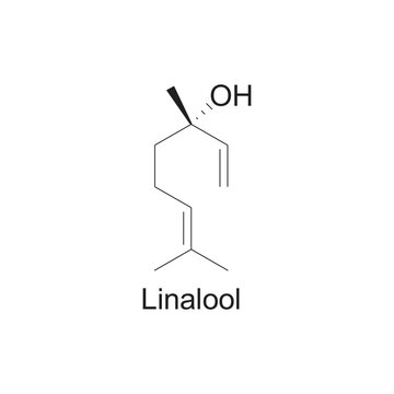 Linalool skeletal structure diagram.Monoterpenoid compound molecule scientific illustration on white background.