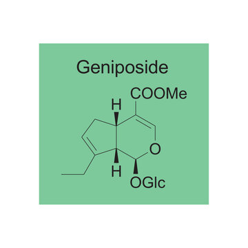 Geniposide skeletal structure diagram.Monoterpenoid compound molecule scientific illustration on green background.
