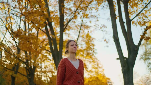 side view young brunette woman wearing red knitted vintage sweater in autumn forest with yellow foliage. stylish attractive girl walks in park at warm fall day. slow motion 4k footage