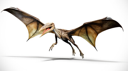 Pteranodon Dinosaur. Isolated on white background