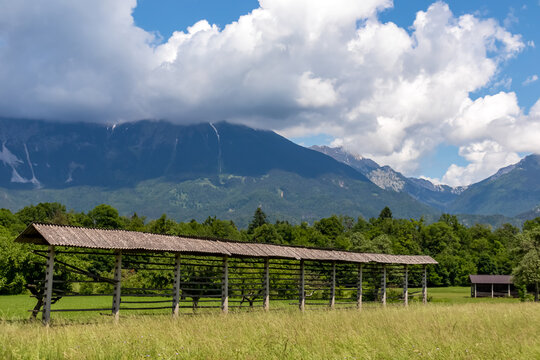 Hay drying rack in Julian Alps between Kranjska Gora and Lake Bled, Slovenia. Serene landscape in remote untouched nature in the Julian Alps in summer. Old and traditional grass drying method