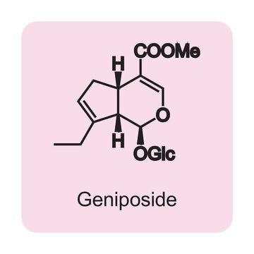 Geniposide skeletal structure diagram.Monoterpenoid compound molecule scientific illustration on pink background.