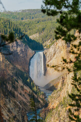 Canyon Village Lower Falls on the Yellowstone River at Artist point, Yellowstone National Park, Wyoming, USA © Stan