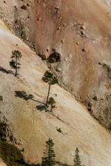 Canyon Village Lower Falls on the Yellowstone River at Artist point, Yellowstone National Park, Wyoming, USA