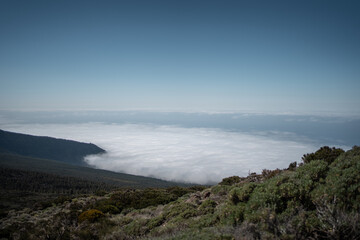high mountain and green forest over clouds, cloudscape, Tenerife, Canary island
