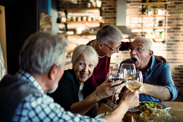 Happy senior people toasting with wine during meal at home
