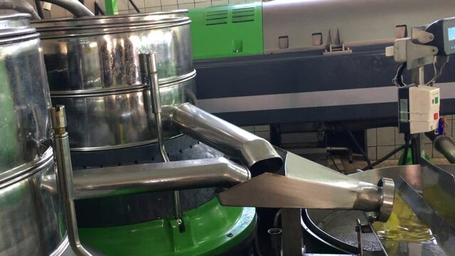 Producing Fresh Olive Oil In The Factory