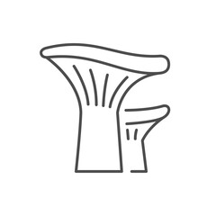 Chanterelle mushroom line outline icon