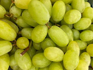 Close up fresh green grapes in market. Sweet organic seedless grapes, macro. Bunch of Grapes green....