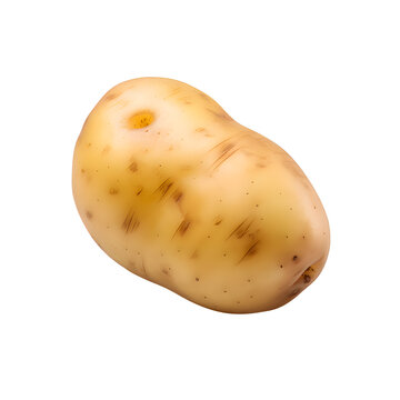 potato isolated on png background.