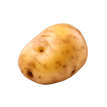 potato isolated on png background.
