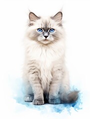 Minimalistic Watercolor Illustration of a Regal Birman Cat AI Generated