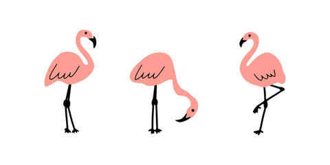 Pink flamingo. Cute kids print. Birds vector illustration isolated on white background.