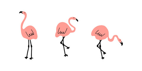 Pink flamingo. Cute kids print. Birds vector illustration isolated on white background.