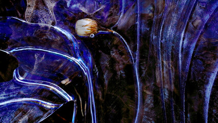 Snail on a vibrant blue textured surface