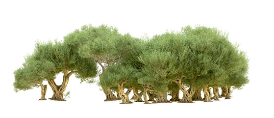 Green forest isolated on background. 3d rendering - illustration