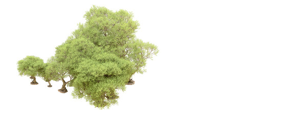 Obraz premium Green forest isolated on background. 3d rendering - illustration