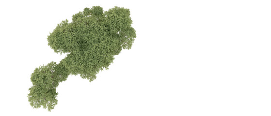 Green forest isolated on background. 3d rendering - illustration