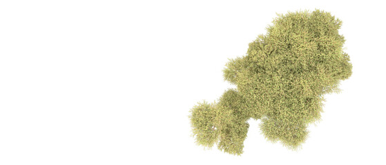 Green forest isolated on background. 3d rendering - illustration