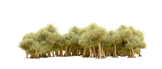 Green forest isolated on background. 3d rendering - illustration