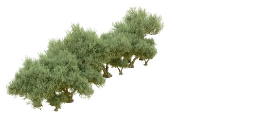 Realistic green forest isolated on background. 3d rendering - illustration