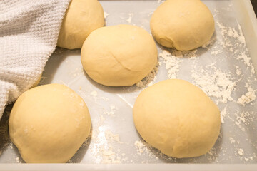 Pizza artesanal em forno a lenha