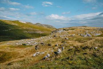 View of the alpine meadows of the Font d'Urle plateau in the Vercors (Drôme, France) with its...