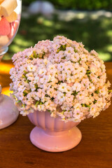 Flores  em caso decoração 