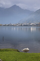 View of lake Zell (Zeller See) in autumn with dramatic clouds