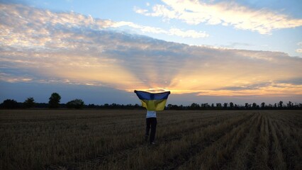 Ukrainian man walking on barley meadow with a blue-yellow banner on shoulders at sunset. Young guy...