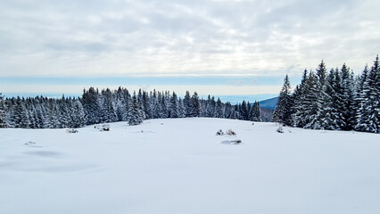 Alpine snowy meadow with panoramic view of mystical forest on Reinischkogel, Koralpe, Lavanttal Alps, Styria, Austria. Winter wonderland with snow covered tall pine trees in Austrian Alps. Wanderlust