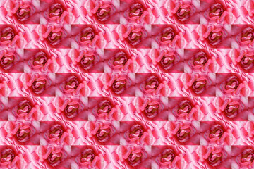 Composição de padrão com rosas cor-de-rosa, png.