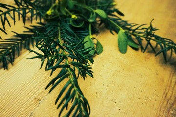 Dekoration mit grünen frischen Tannen- und Mistelzweigen auf brauner Holztischplatte an Weihnachten