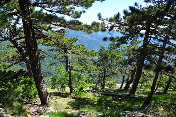 Fototapeta premium Kaz Mountains, located in Balikesir city of Turkey, is the most important mountain of the country with its rich vegetation and untouched nature.