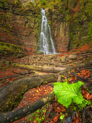 portrait view to waterfall in canyon and green leaf on foreground