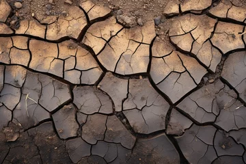 Foto op Plexiglas Peats resilience Texture of dry, broken peat with slight moisture © Jawed Gfx