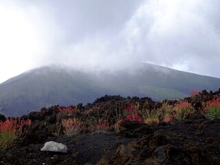 Ella im Hochland von Sri Lanka © ernestoche50