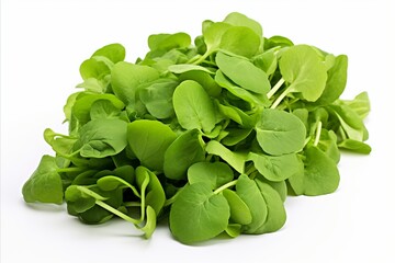 Vibrant watercress leaves on white backdrop for eye catching ads and packaging designs