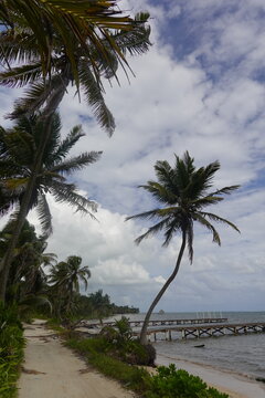 Belize - Ambergris Caye - Island Views © Karen