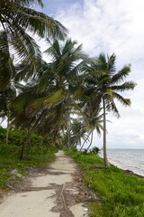 Fototapeta na wymiar Belize - Amergris Caye - Island Views